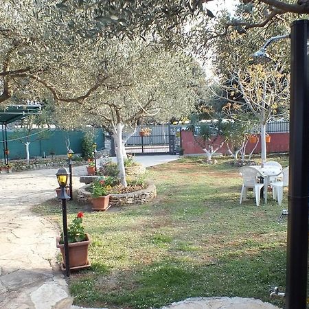 הוילה רוביני Casa Terren Grande מראה חיצוני תמונה