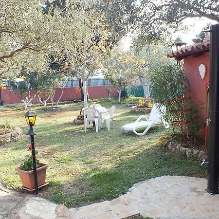הוילה רוביני Casa Terren Grande מראה חיצוני תמונה