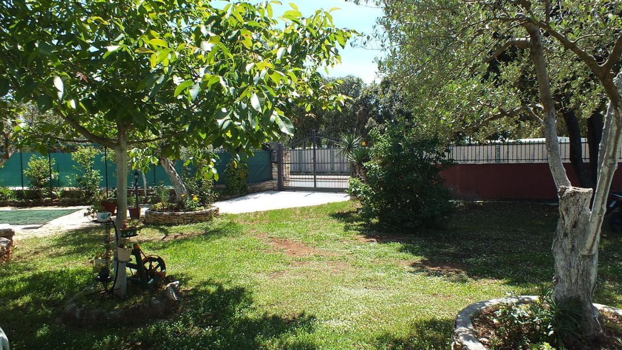 הוילה רוביני Casa Terren Grande מראה חיצוני תמונה