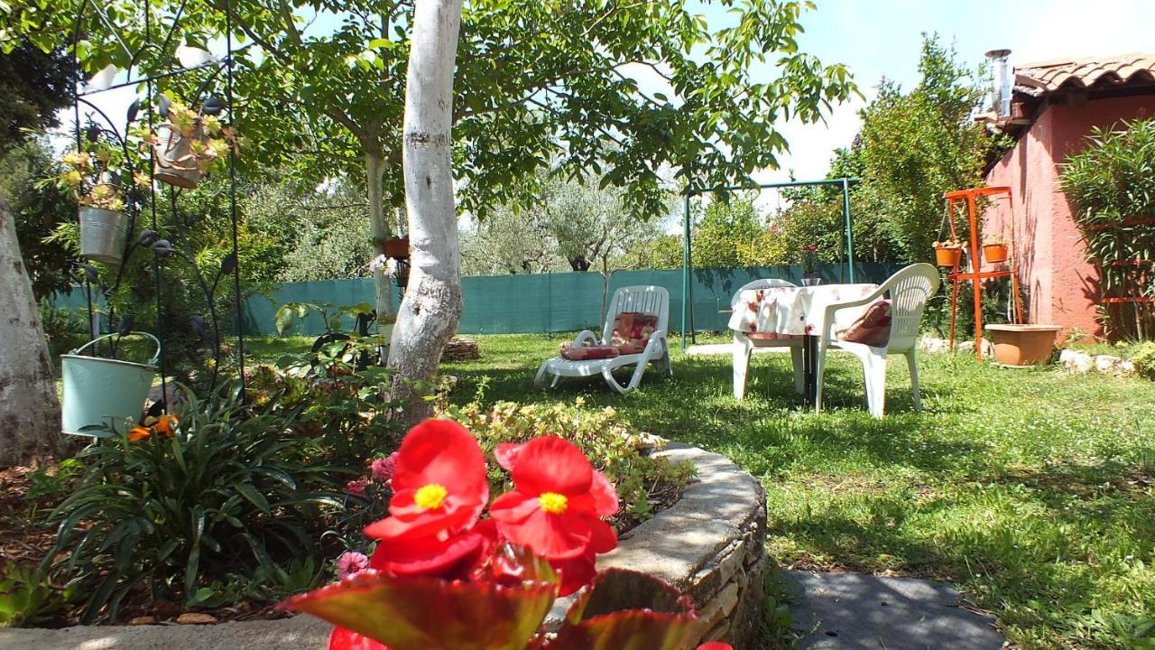 הוילה רוביני Casa Terren Grande מראה חיצוני תמונה